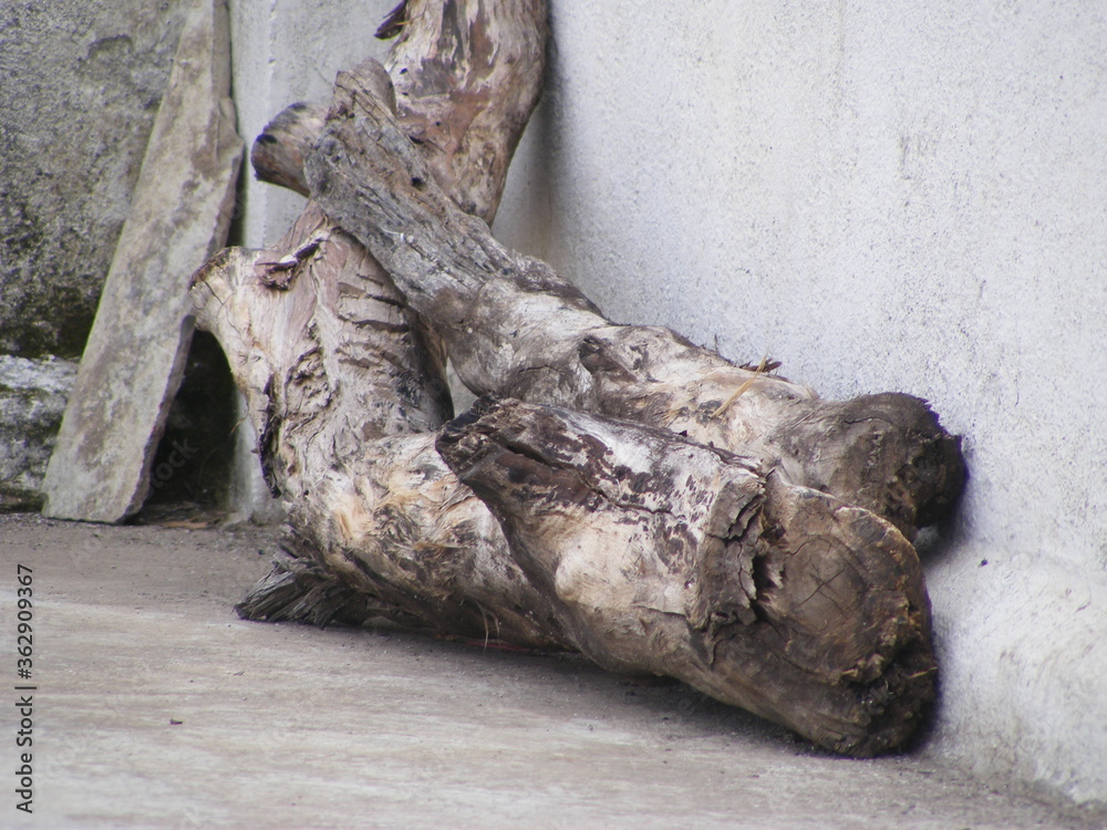 logs of wood logs of wood