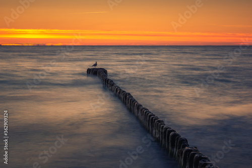 Sunset on the Baltic Sea in Miedzyzdroje, Zachodniopomorskie, Poland photo