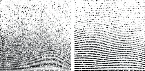 Grunge lines backgrounds . Vector stripes textures