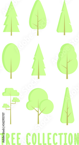 Set of nine isolated green forest trees. Modern flat design. Tree collection. Vector graphic.