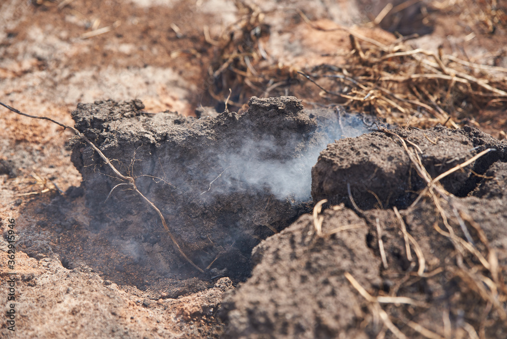 Smoldering peat in ground smoke rises