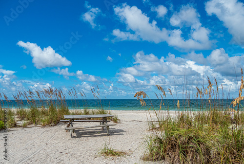 Picnic table on beach at Stump Pass State Park on the Gulf of Mexico in Englewood  in Southwest Florida photo