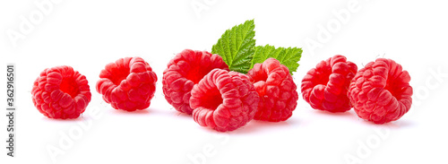 Juicy raspberries in closeup on white background
