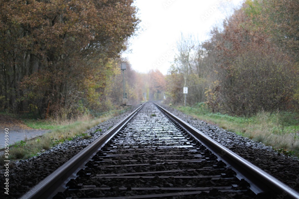 Fototapeta premium Gleise