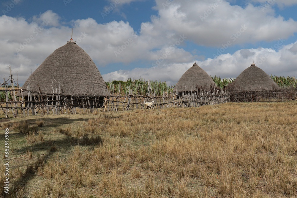 Village of people Oromo. Near the city of Addis Ababa.  Ethiopia. Africa.