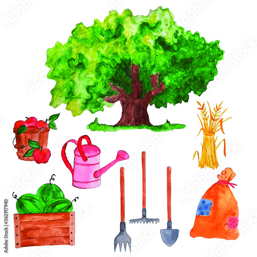 Watercolor garden set: tree, bucket of apples, watering can, watermelon box, inventory,  sheaf of wheat, bag. Vector illustration.