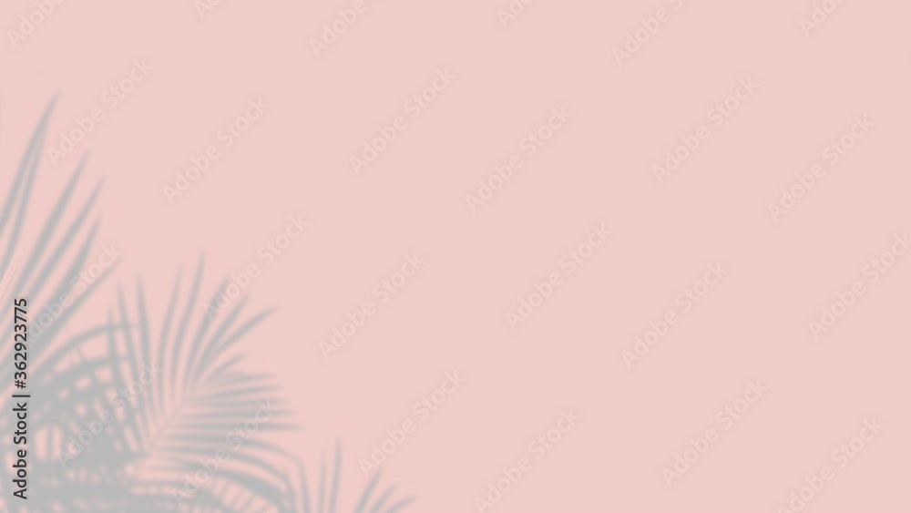 Shadow overlay effect. leaves shadows. natural shadows from window isolated illustration. Premium 4k resolution moution Video Shadow overlay effect. leaves shadows. natural shadows from window isolated illustration. Premium 4k resolution moution Video