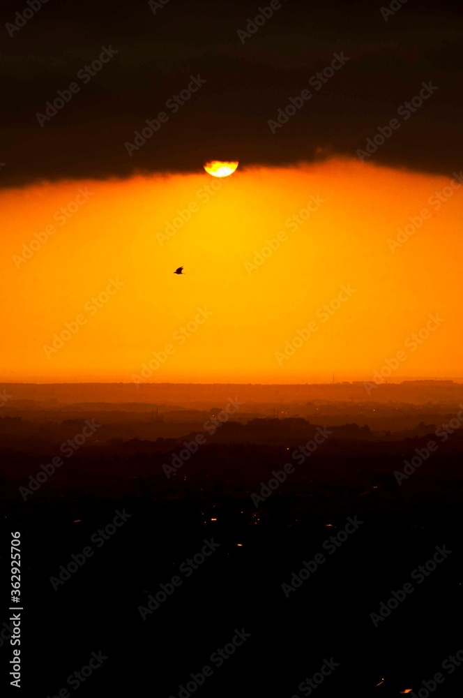 Tramonto con cornacchia Tramonto con cornacchia