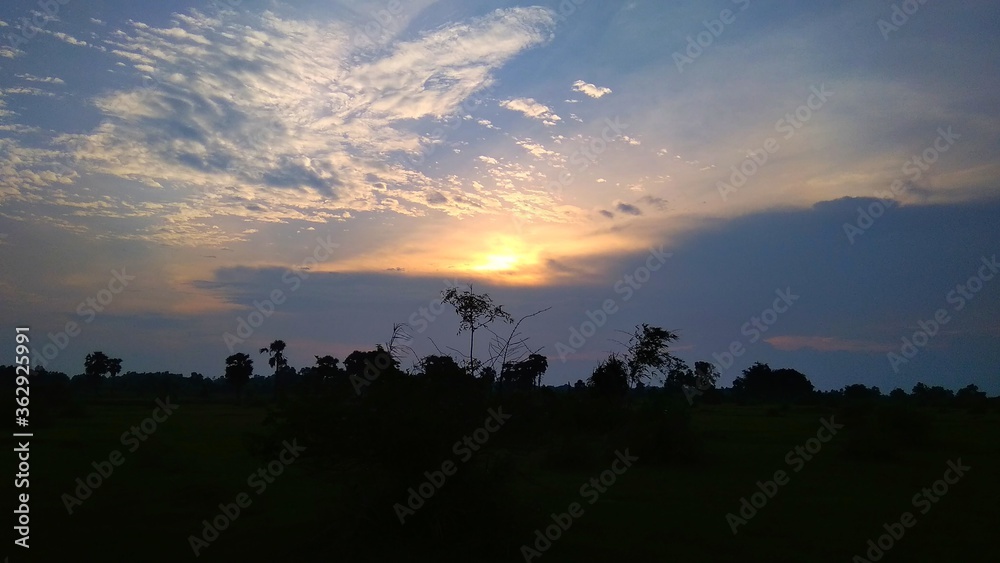 Obraz premium sunset in the field