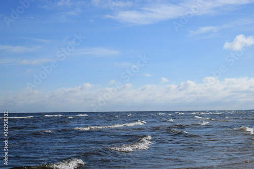 July morning on the shore of the Gulf of Riga