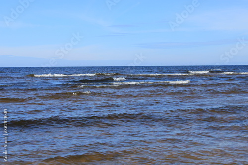 Fototapeta Naklejka Na Ścianę i Meble -  July morning on the shore of the Gulf of Riga
