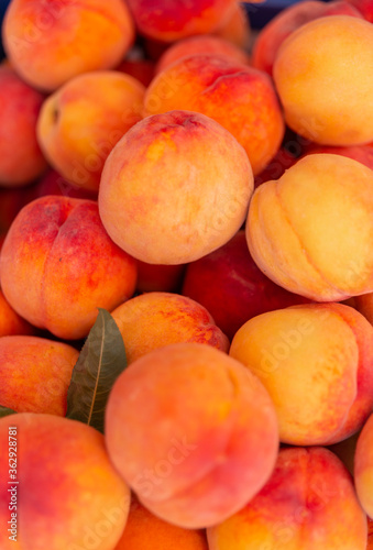 fruits peaches. Texture background of sweet and ripe peaches. vegetarian food fruit peaches. Fruits from garden.