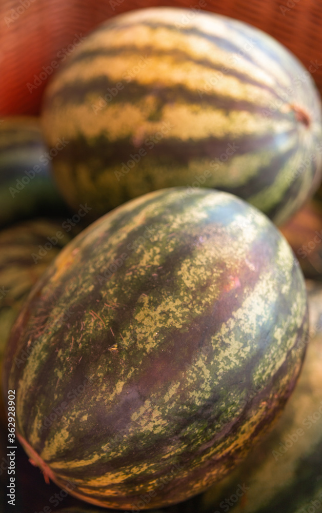 Fresh organic watermelons. Watermelon background.