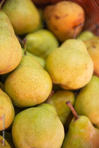 Ripe pears close-up. Background.