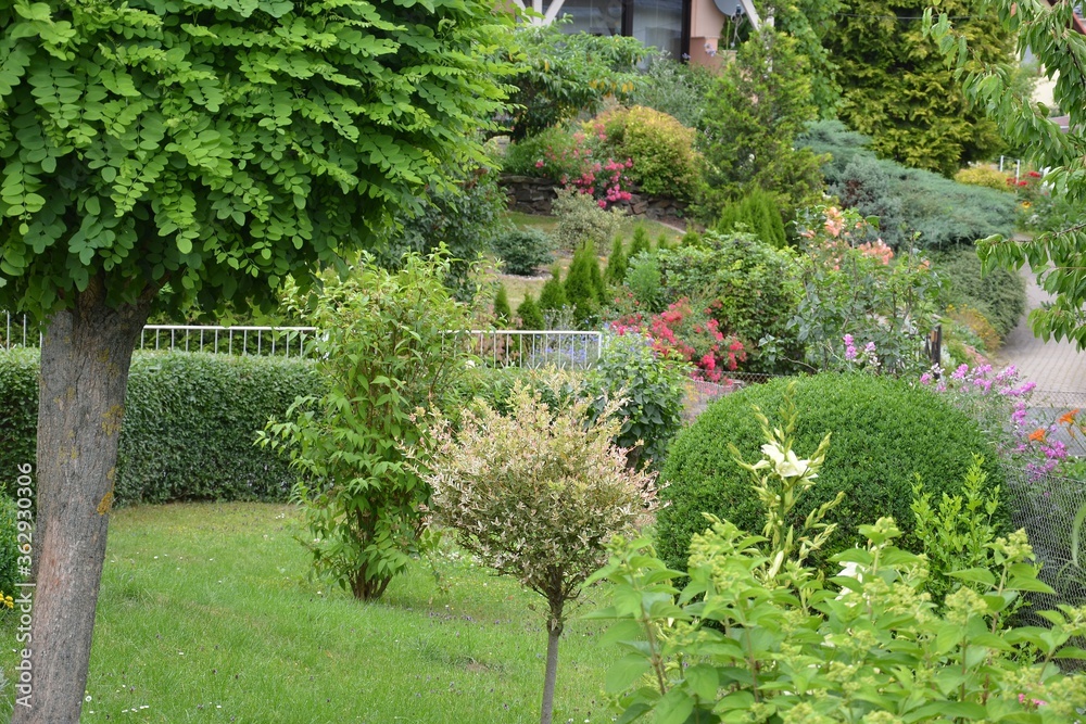 Obraz premium Sommergarten