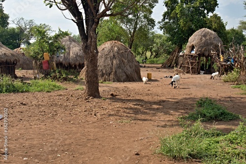 View of the village of the Mursi tribe, near Jinka town. Ethiopia. Africa. photo