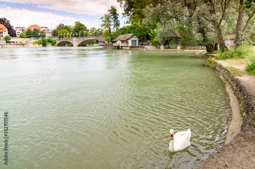 the Rhine river with the bridge in Rheinfelden and a swan in the foreground photo