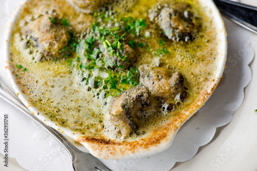 Escargot. Snails prepared in traditional classical French bistro preparation. Snails baked in Béchamel sauce white wine, garlic, shallots, butter, lemon juice, salt and pepper and bread crumbs.