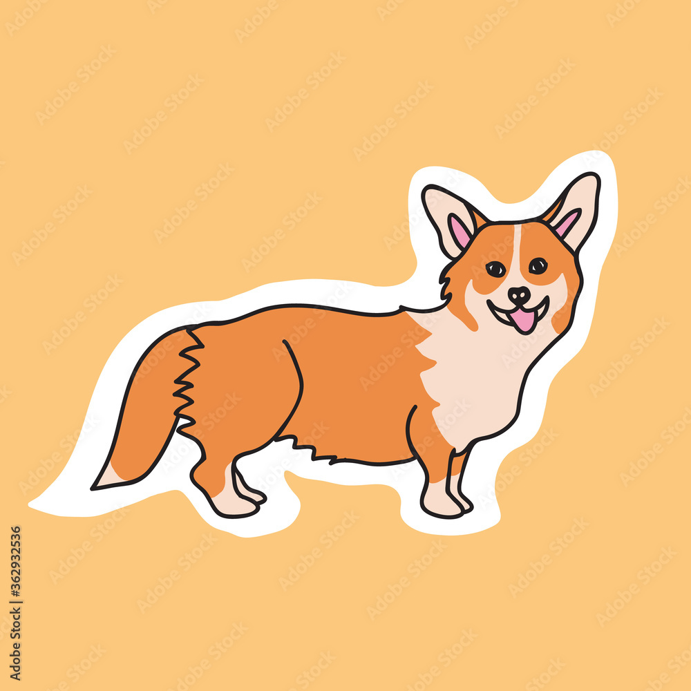 Fototapeta premium Corgi dog cute sticker, vector illustration