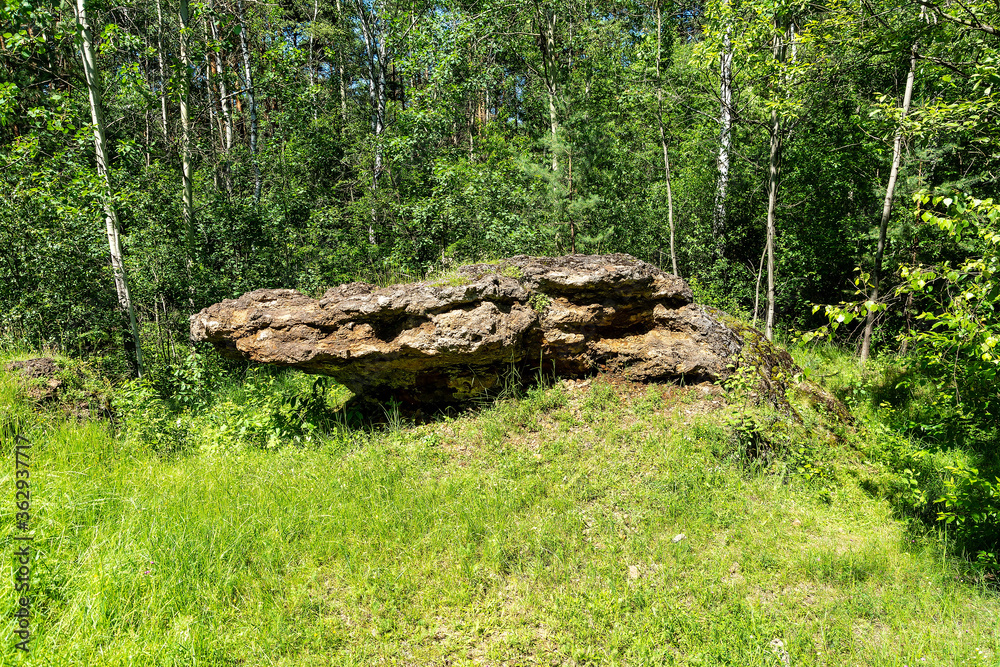 Travertine rock in Laski (community Boleslaw, Poland)