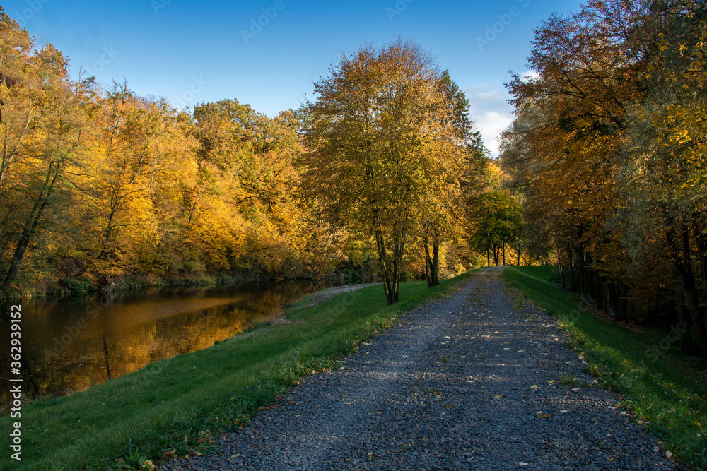 Jesienny spacer wzdłuż Olzy, Czeski Cieszyn, Czech Republic