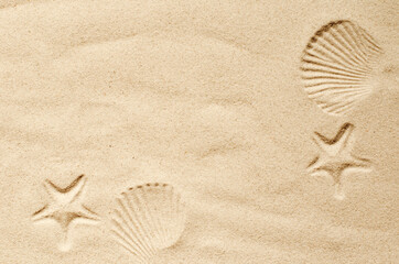 Top view of a sandy beach, texture of clean sand of a natural surface. Sand background. Imprints of mollusks in the sand.