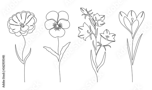 Set of flowers