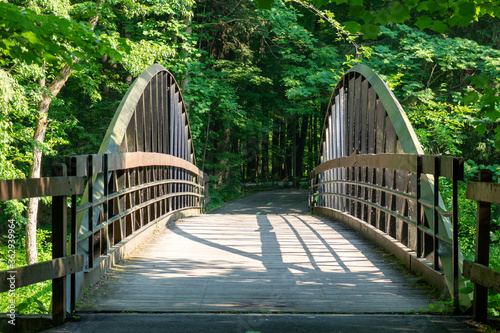 2020-07-07 South Rocky River Reservation Bridge and Path Through Woods Cleveland Metro Parks