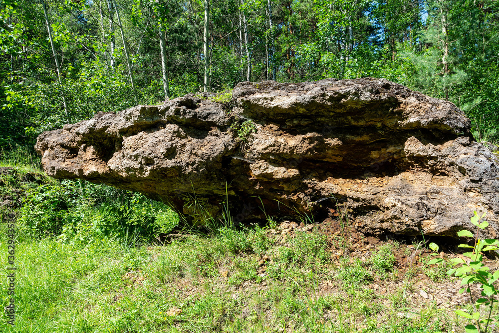Travertine rock in Laski (community Boleslaw, Poland)