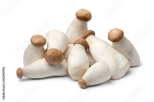 Heap of fresh mini king oyster mushrooms