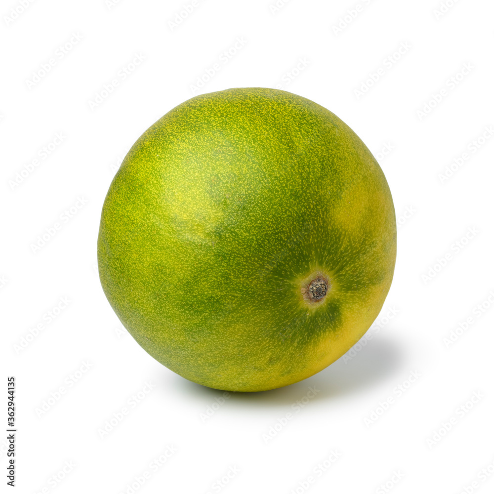 Single fresh whole limelon fruit