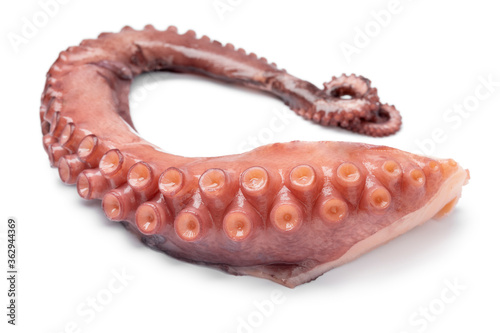 Φωτογραφία Fresh cooked octopus tentacle close up