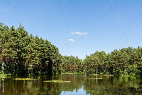 Obraz na płótnie Pond in Laski (community Boleslaw, Poland) w salonie
