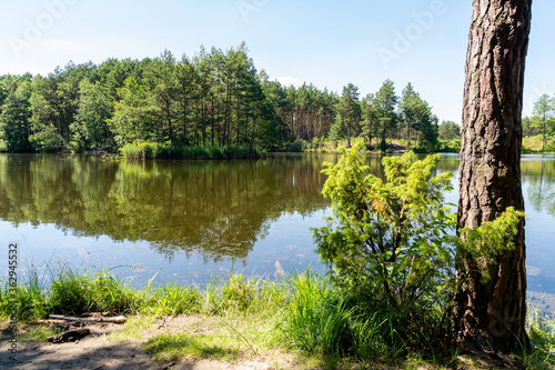 Obraz na płótnie Pond in Laski (community Boleslaw, Poland) w salonie