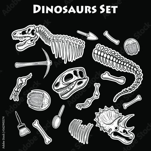 Vector Black and White Dinosaur Skeleton Set