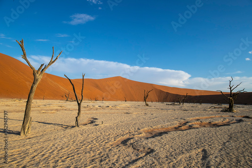 Sossusvlei is a salt and clay pan surrounded by high red dunes, located in the southern part of the Namib Desert, in the Namib-Naukluft National Park of Namibia. 