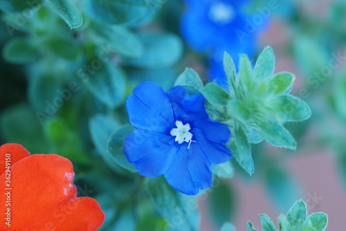 Blue My Mind