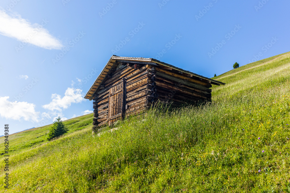 Old log stable on the alpine meadows covered in green grass and colorful flowers in Switzerland during summer