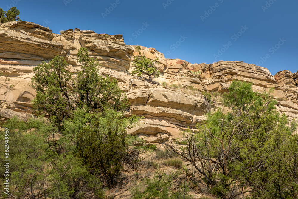 Rocks and trees in the Palo Duro Canyon