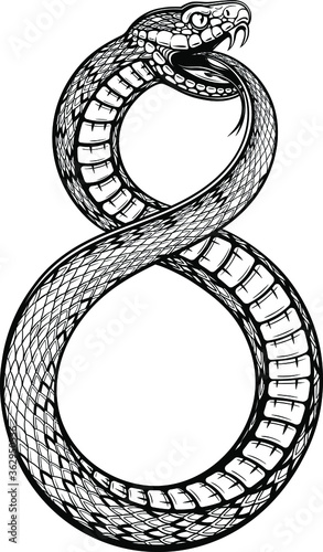 Vector Black and White Alchemy Snake Illustration