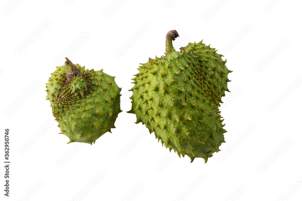 Two soursop on a white background Two soursop on a white background