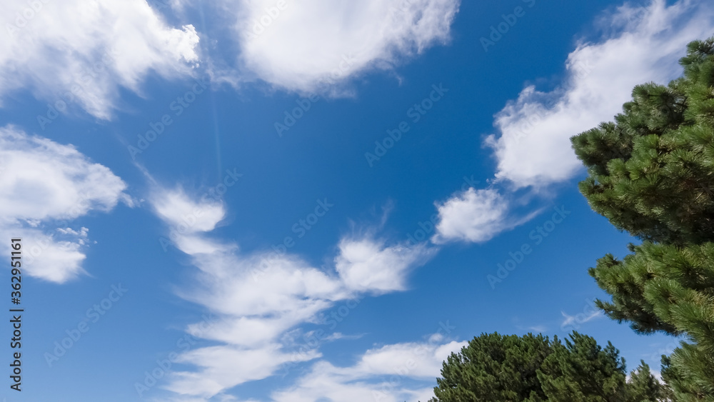 white cumulus clouds on a blue sky, bright sunny day, beautiful natural landscape white cumulus clouds on a blue sky, bright sunny day, beautiful natural landscape