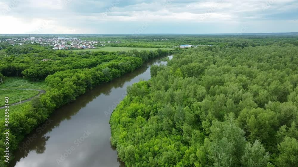 aerial view of the flight over the river and forest. green trees in the summer. Drone takes pictures of beautiful landscape