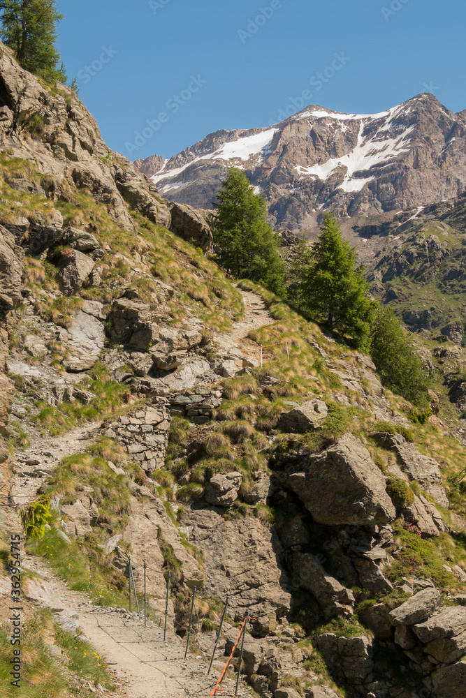 Walking path in the italian alps