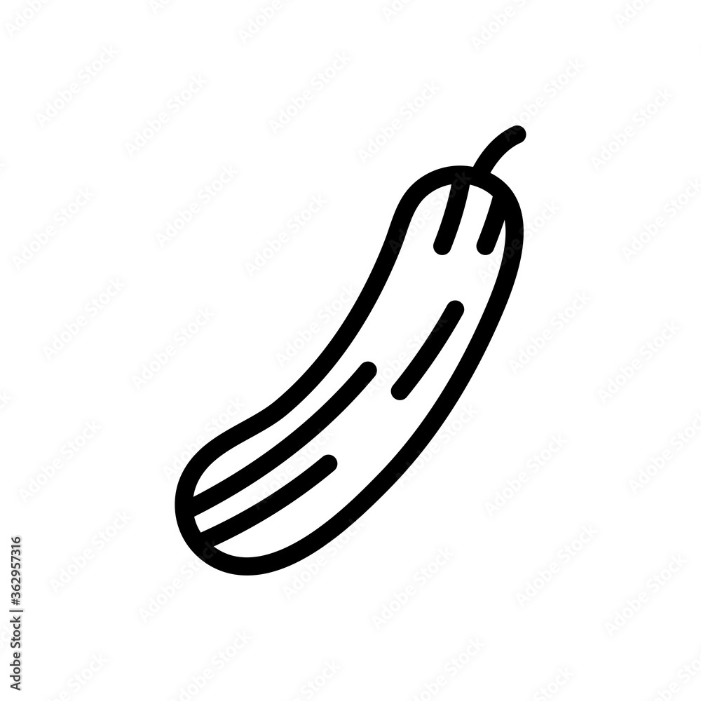 brinjal brinjal
