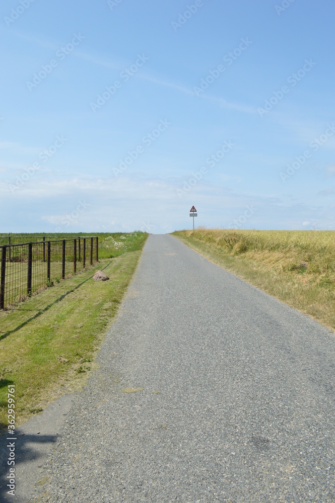 Obraz premium road in the countryside