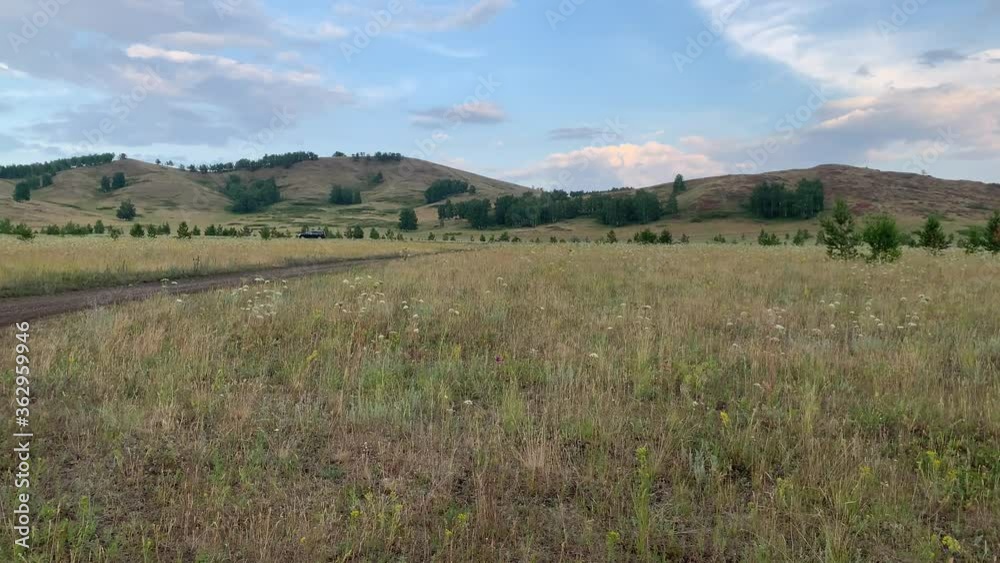 Beautiful summer landscape. Horses grazing in a meadow Beautiful summer landscape. Horses grazing in a meadow