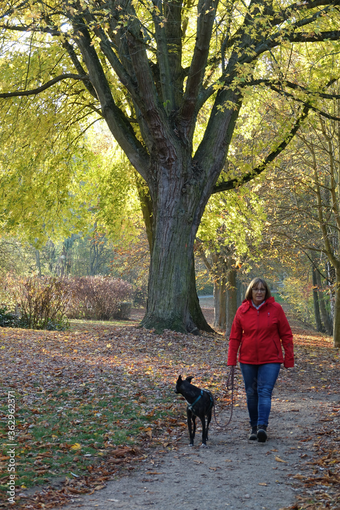 Frau mit Hund im Wald Frau mit Hund im Wald