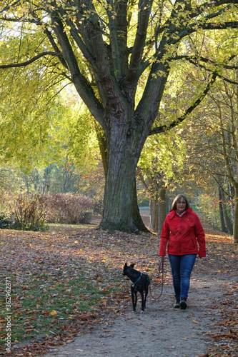Frau mit Hund im Wald © Fotolyse
