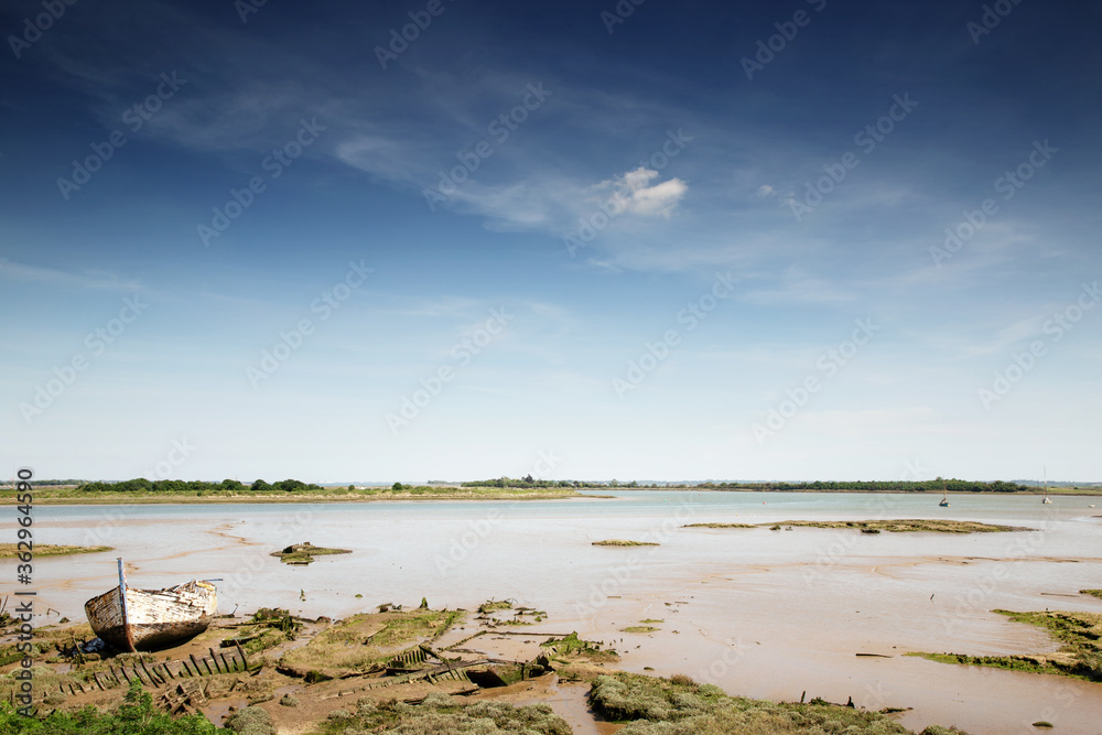 wetland in essex england